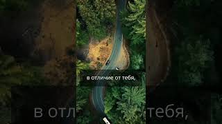 Как не попасть в ловушку слепого следования? Совет от Али ибн Абу Толиба! #shorts
