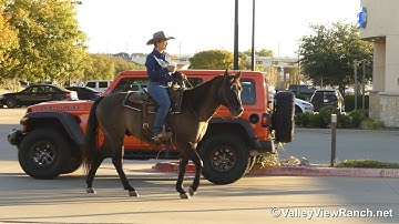 Plan A Smart Secret - riding in town! - ValleyViewRanch.net