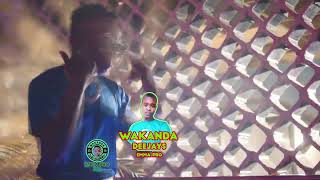 WAKANDA DJZ New mixtape 2022 latest Ugandan songs extended From DJ Emma pro