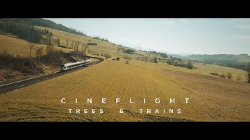 CINEFLIGHT - Trees and Trains - Blackmagic Micro Cinema Camera BMMCC on a drone - RAW slow motion