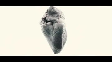 Create to Inspire - Counting Days (Official Video)