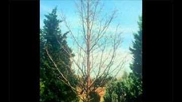 Falls - Featureless (Official Video)