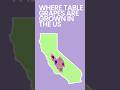 Where Table Grapes are Grown in the U.S. #shorts