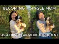 Getting an 8 Week Old Mini Bernedoodle Puppy During Medical School and a Pandemic