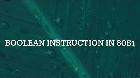 Boolean  Instructions  -8051