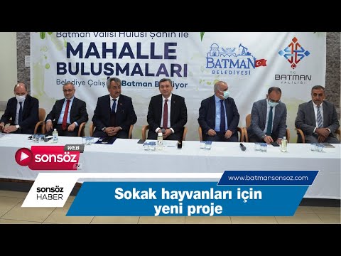 SOKAK HAYVANLARI İÇİN YENİ PROJE