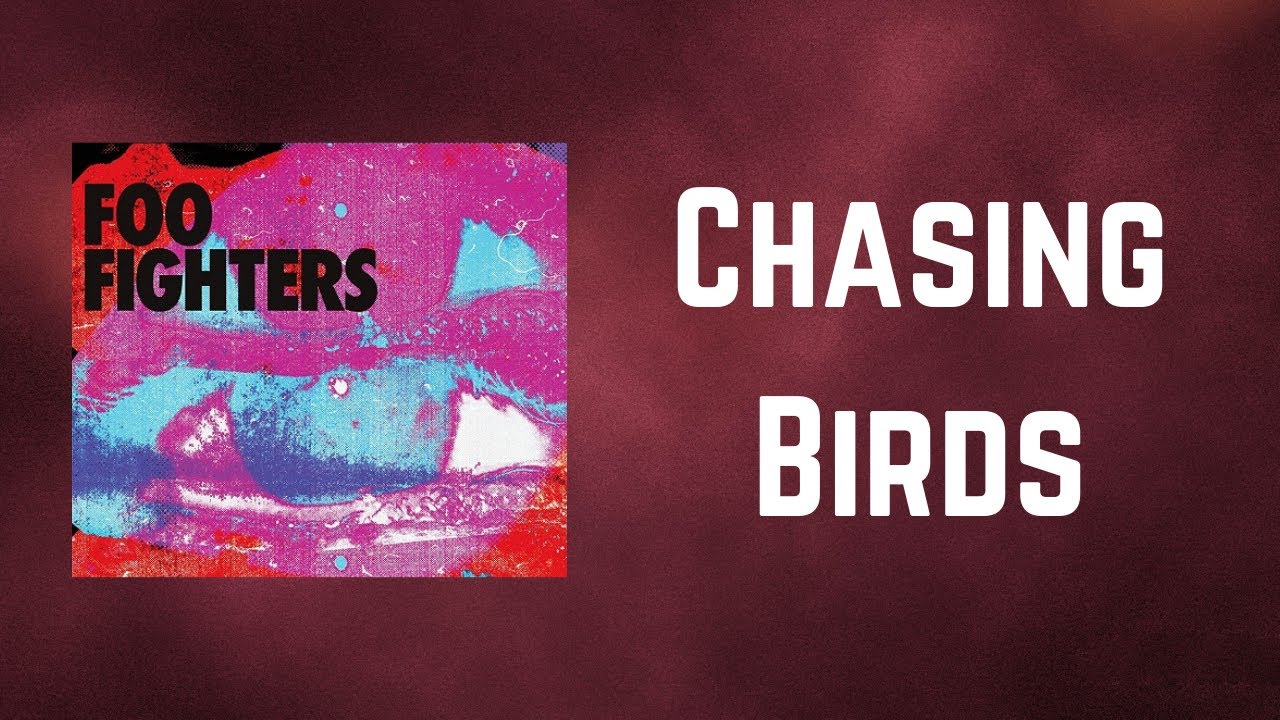 Foo Fighters - Chasing Birds (Lyrics)