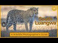 South Luangwa National Park - A wildlife photographer&#39;s guide