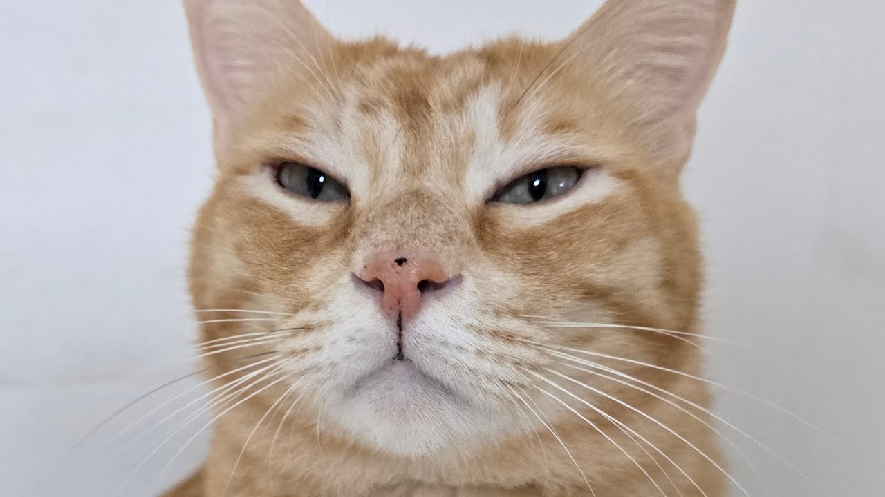 1부☝️희망이 생일파티하기 전에 밖에 아가들 먼저 좀 챙길게요~