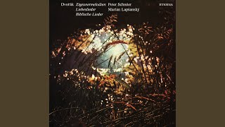 Gypsy Melodies, Op. 55, B. 104: No. 1, Mein Lied ertönt, ein Liebespsalm