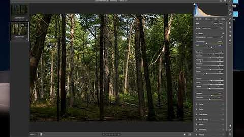JPEG Export - Adobe Camera RAW