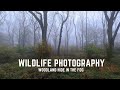 WILDLIFE PHOTOGRAPHY | Woodland hide in the fog & print giveaway