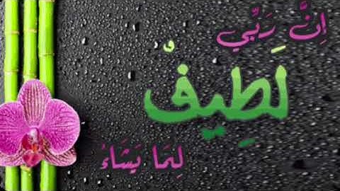 نبيل الصالح / مقتطفات من القرآن الكريم               ً