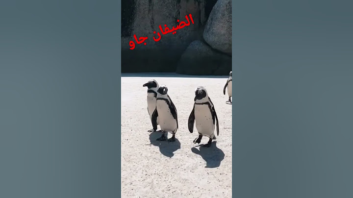 الضيفان جاو وخاصنا نرحبوا بيهم! #المغرب #ضيافة #فكاهة #ميم #نكتة #humour #memes