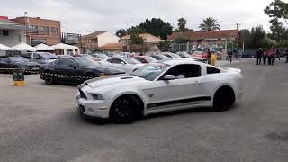 Mustang padock