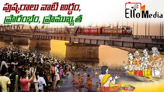 పషకరల అట ఏమట? .Mediahub