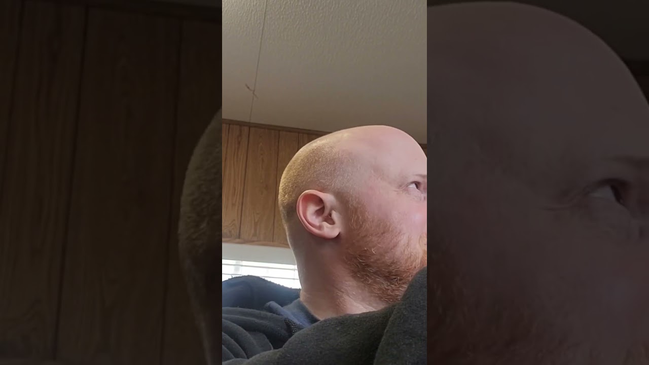 Non-sneakerhead reactions to Nike Air Jordan 4 Retro Military Blue 