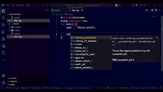 Day 1 | What is C++ + Hello World Program | Placement Journey