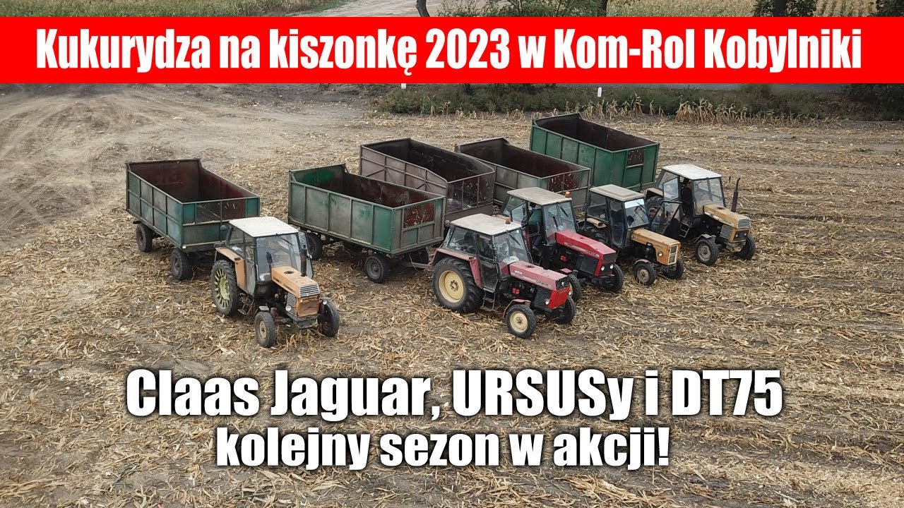 maxresdefault Kukurydza na kiszonkę 2023 w Kom Rol Kobylniki   Claas Jaguar, Ursusy i DT75 ciągle w akcji