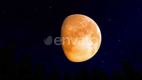 Red Moon At The Forest | Motion Graphics - Envato elements
