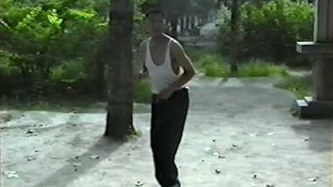 liu jingru 64 zhang variations.mpg