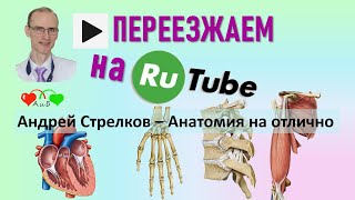 Приглашение на Rutube: https://rutube.ru/channel/23978168/