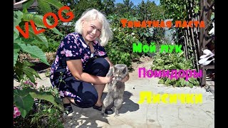 ▶️Дачный влог/VLOG.Томатная паста лисички ацидофилин лук▶️ ▶️Дачный влог/VLOG.Томатная паста лисички ацидофилин лук▶️