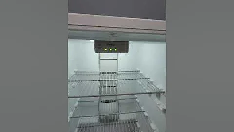 Whirlpool 16 cu. ft. Upright Freezer Demo | Deep Freeze Cooling Test, Shelves & Condition Review