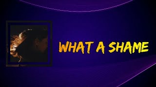 Lizzy McAlpine - what a shame (Lyrics)