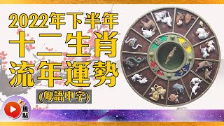 【粵語中字】2022年下半年運勢發生變化!屬猴的人交際活動會變多,「這生肖」要多加提防小人! #十二生肖 #犯太歲 #下半年運勢 #改運 #生肖運程 《MADMAC日記》 20220725
