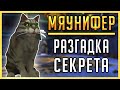 МЯУНИФЕР - последний секрет Battle for Azeroth! Новый секретный питомец WoW