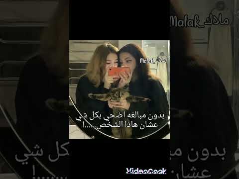 بدون مبالغه اضحي فكرتي