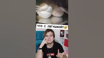 Почему ЛЯГУШКА РАЗДУВАЕТСЯ как шарик!
