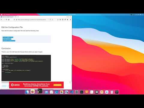 How To Install Dracula Thema in VIM