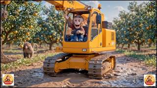 Happy Baby Monkey Driving Excavator in Orange Orchard