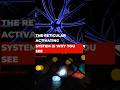 The reticular activating system is why you see... ! #shorts
