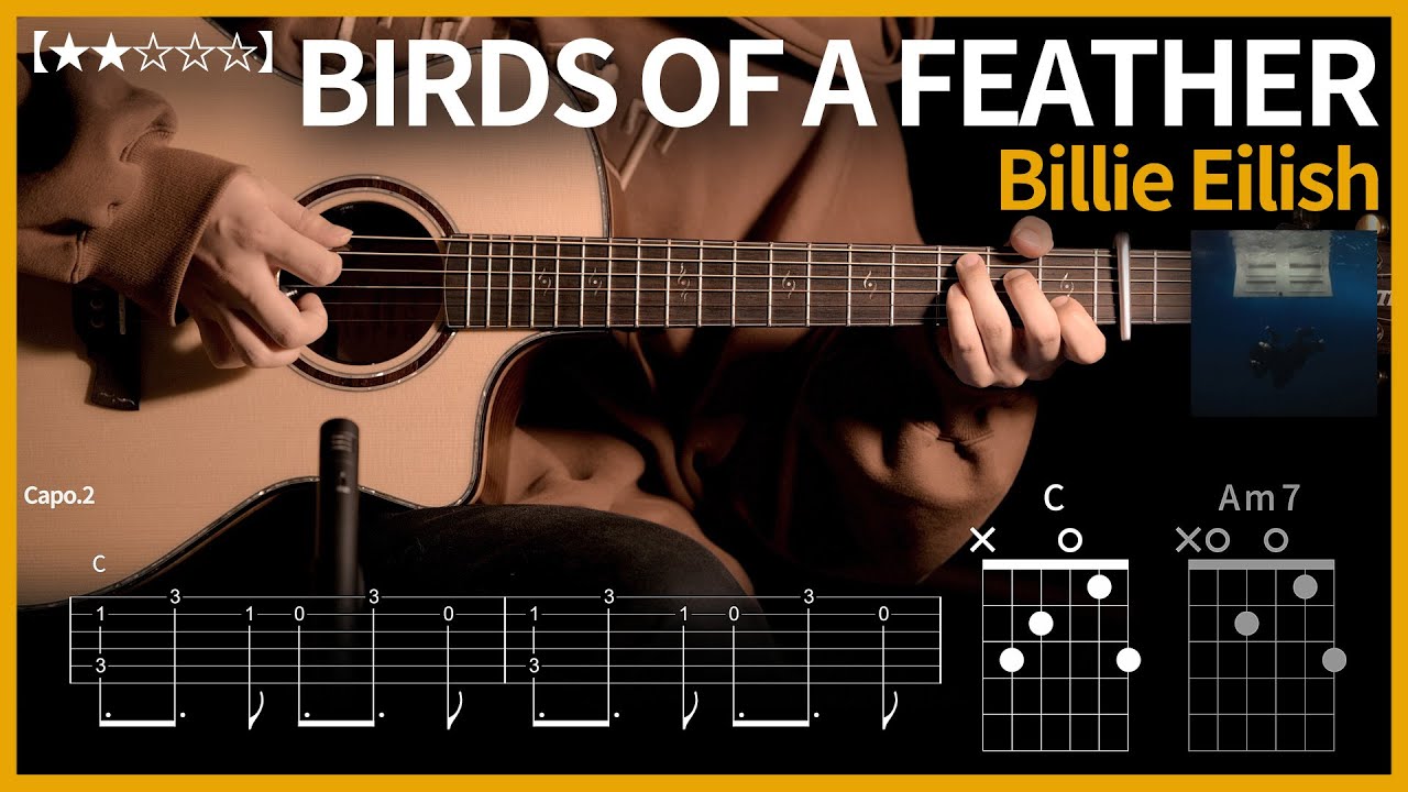 660.Billie Eilish - BIRDS OF A FEATHER 기타커버【★★☆☆☆】 | Guitar tutorial |ギター 弾いてみた 【TAB譜】