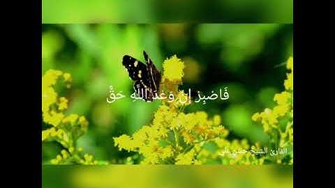 فاصبر إن وعد الله حق❤ | تلاوة تدمع لها القلوب | القارئ الشيخ حسن علي