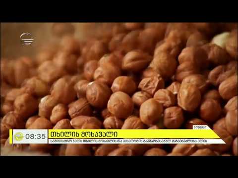 2019 წელს თხილის მოსავალის უკეთეს მოსავალს ელიან