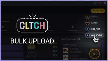 Cltch | How to Bulk Upload Reptiles