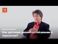 Генная инженерия растений - Алишер Тураев