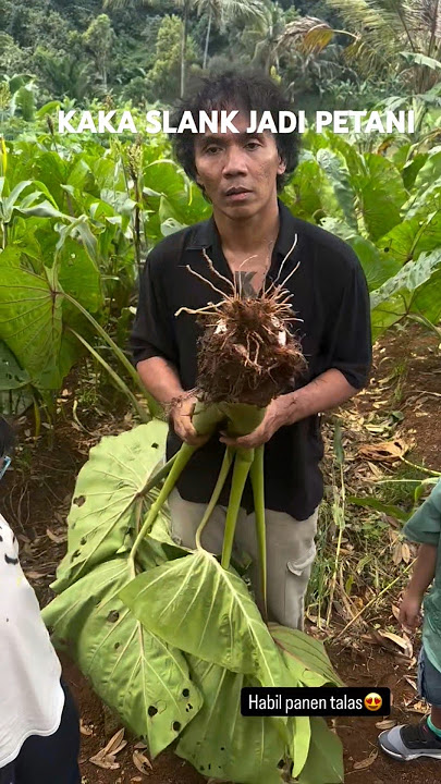 Download lagu Kaka Slank becomes a farmer // #kakaslank #slank #slankers #music #indonesianmusic #rocknroll