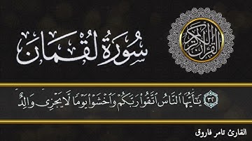سورة لقمان : القارئ تامر فاروق #سورة_لقمان