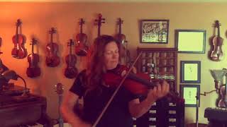 Sarah The Fiddler - Jimmys Favorite Jig