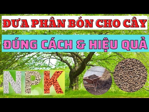 Video: Bón Phân Cho Cây Hạt - Bón Bón Cho Cây Hạt Như Thế Nào Và Khi Nào