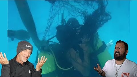 Divers React to Insane Short videos