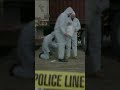 Crime Stories - The boogeyman #truecrime #boogeyman