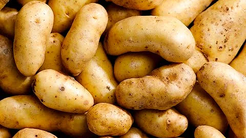 Washed potato sorting machine - Sentinel II