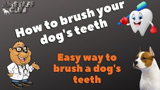 How to brush your dog&#39;s teeth. Easy way to brush a dog&#39;s teeth.