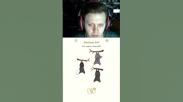 DOP 2 LEVEL 241 #dop2 #denisenplay #gaming